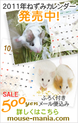 �l�Y�~�J�����_�[2011